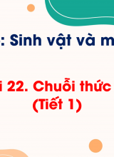Chủ đề 6 - Bài 22 Chuỗi thức ăn (Tiết 1)